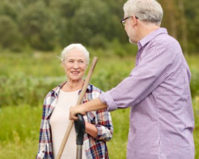 APOSENTADORIA POR IDADE HÍBRIDA￼